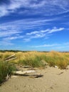 Natural beach at CÃÂ  Roman, Venezia, Italy Royalty Free Stock Photo